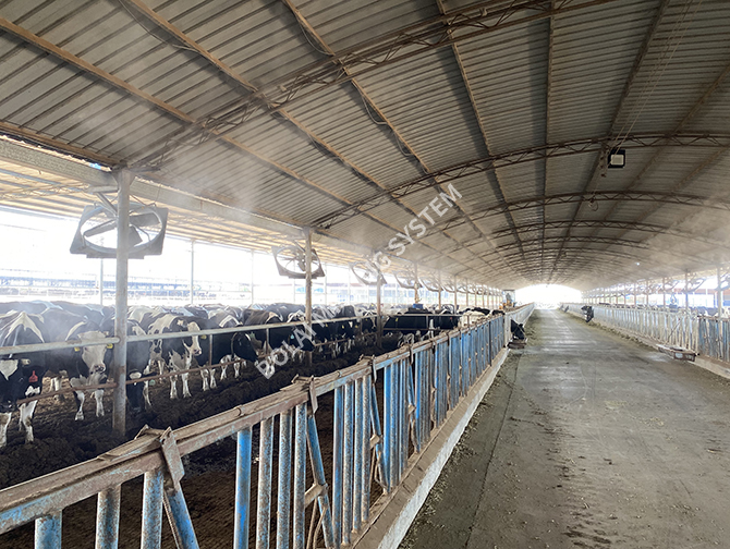 Cow Shade Cooling Fogger Misting System Shandong Bolai Machinery Co., LTD