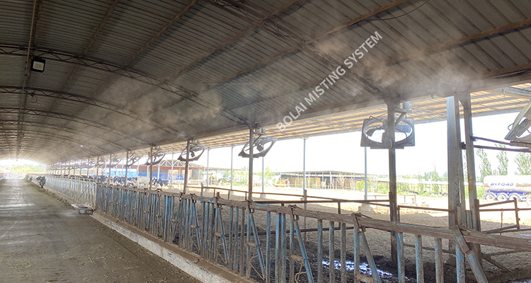 cooling spray system